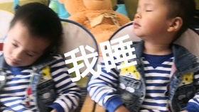 娱乐吃瓜酱打瞌睡